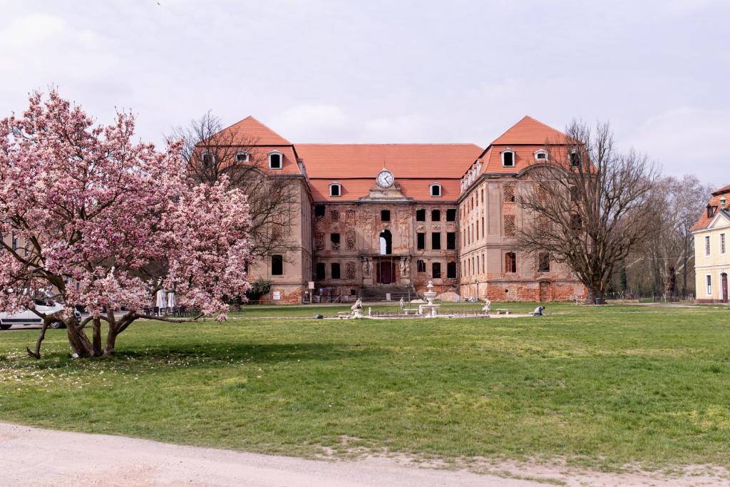 Pałac Brody photo 3