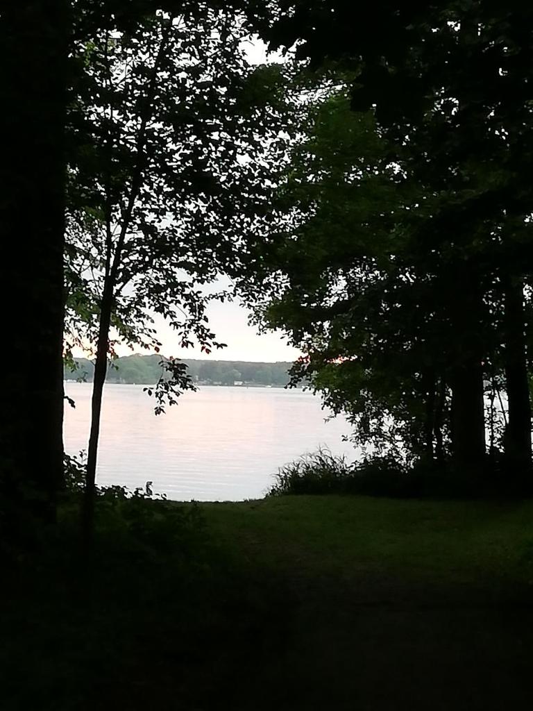 Am Schwielochsee1 photo 3