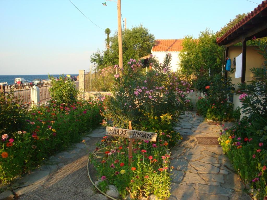 Athina Apartments photo 2
