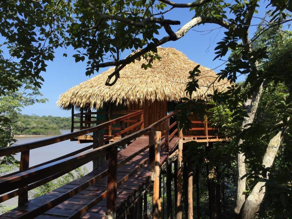 Juma Amazon Lodge photo 4