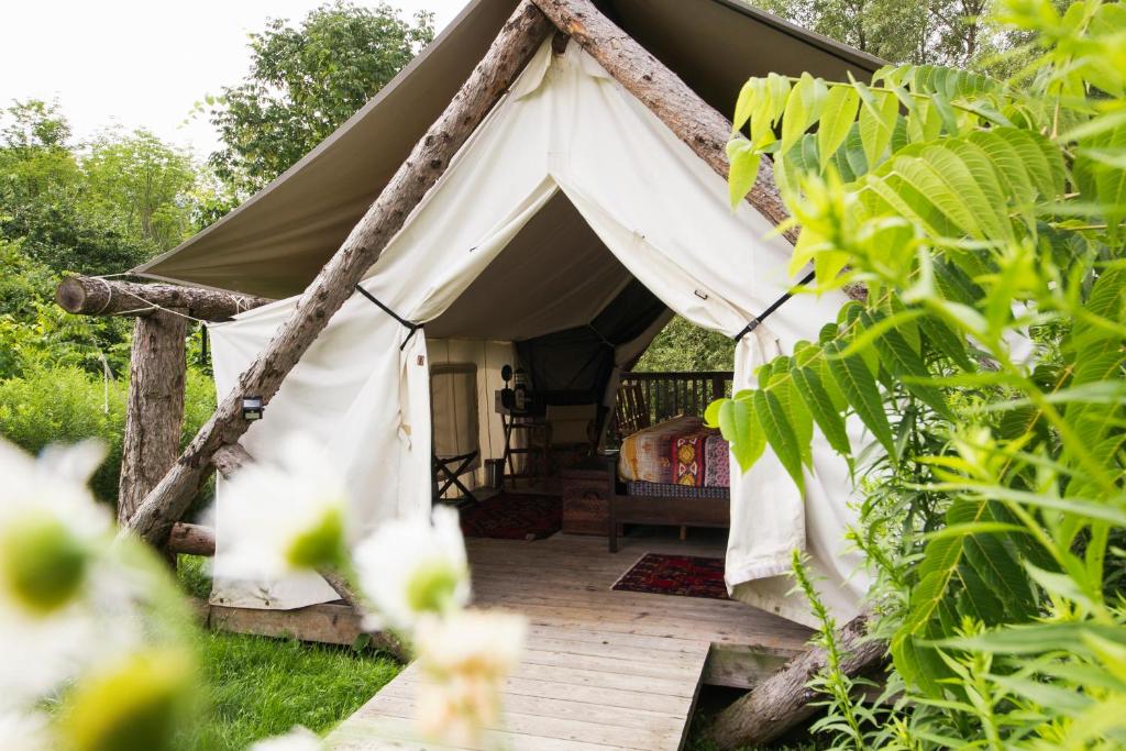 Firelight Camps image