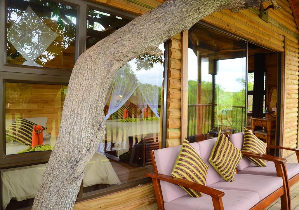 Pezulu Tree House Lodge photo 4