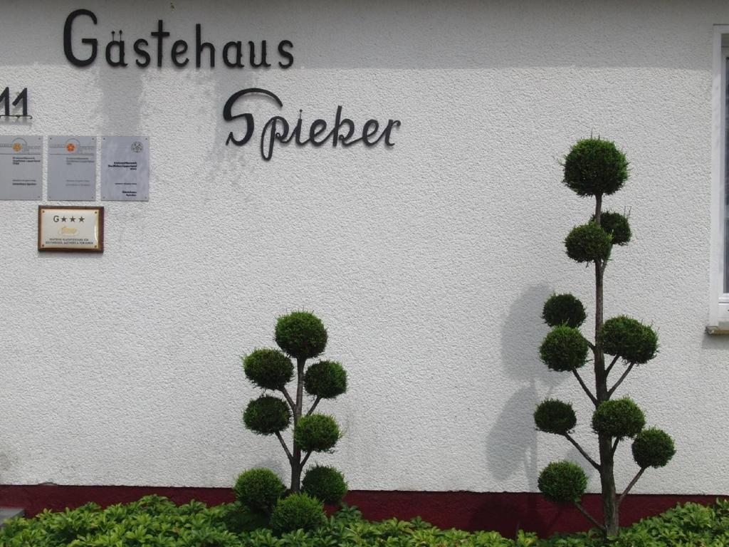 Gästehaus Spieker photo 2