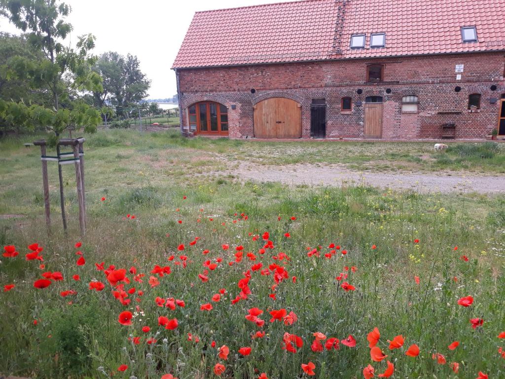 An den Elbwiesen GZ FeWo Elbeblick Nur Nichtraucher photo 3