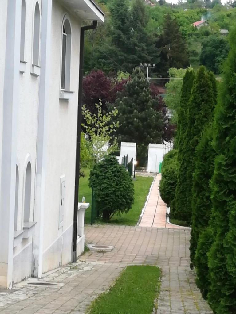 Vila Kraljica Vrdnik photo 2