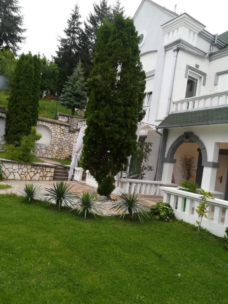 Vila Kraljica Vrdnik photo 1