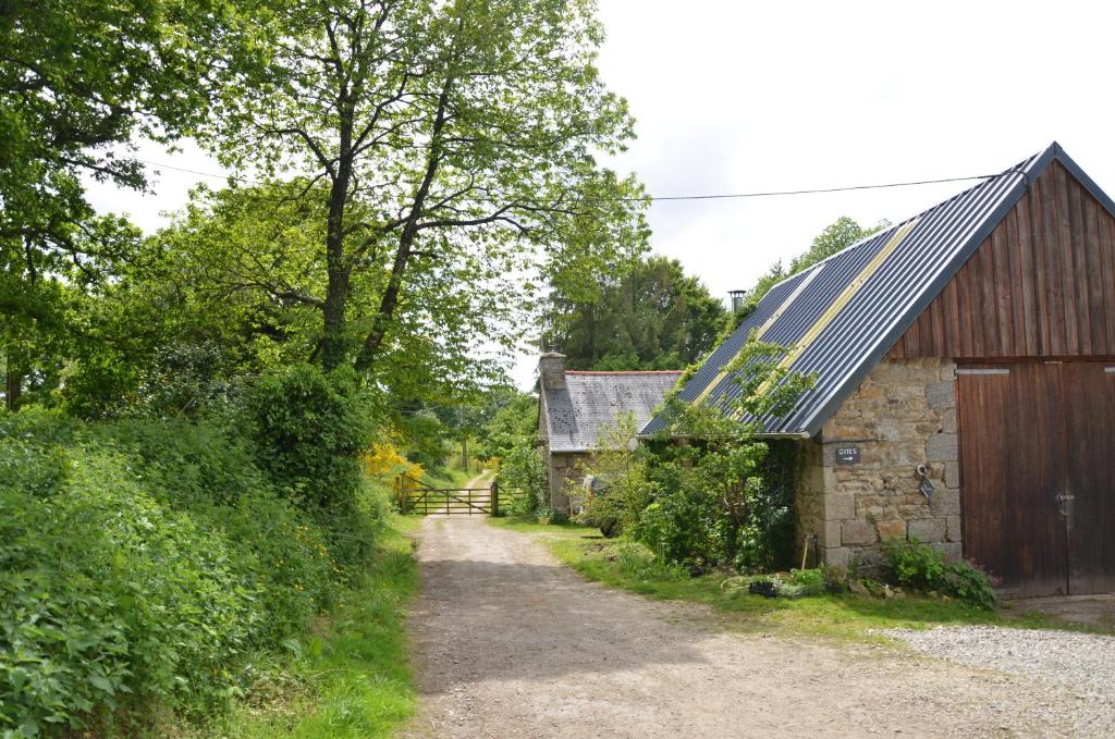 Kerollivier photo 1