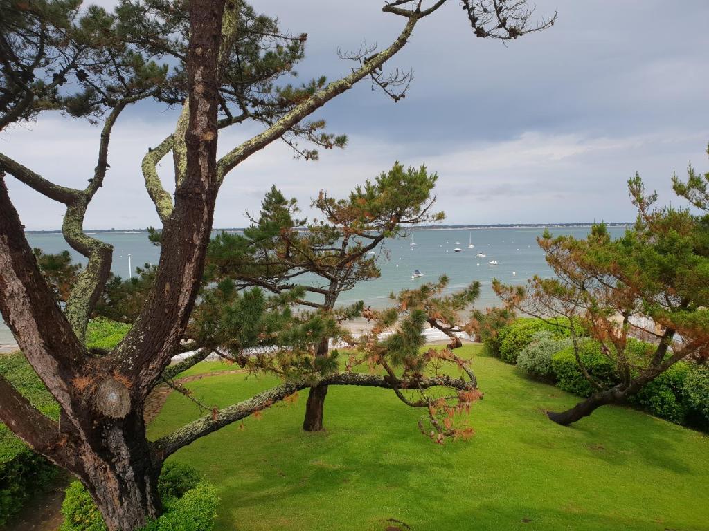 La Villa Fuberia - Seafront Bassin d'Arcachon photo 4