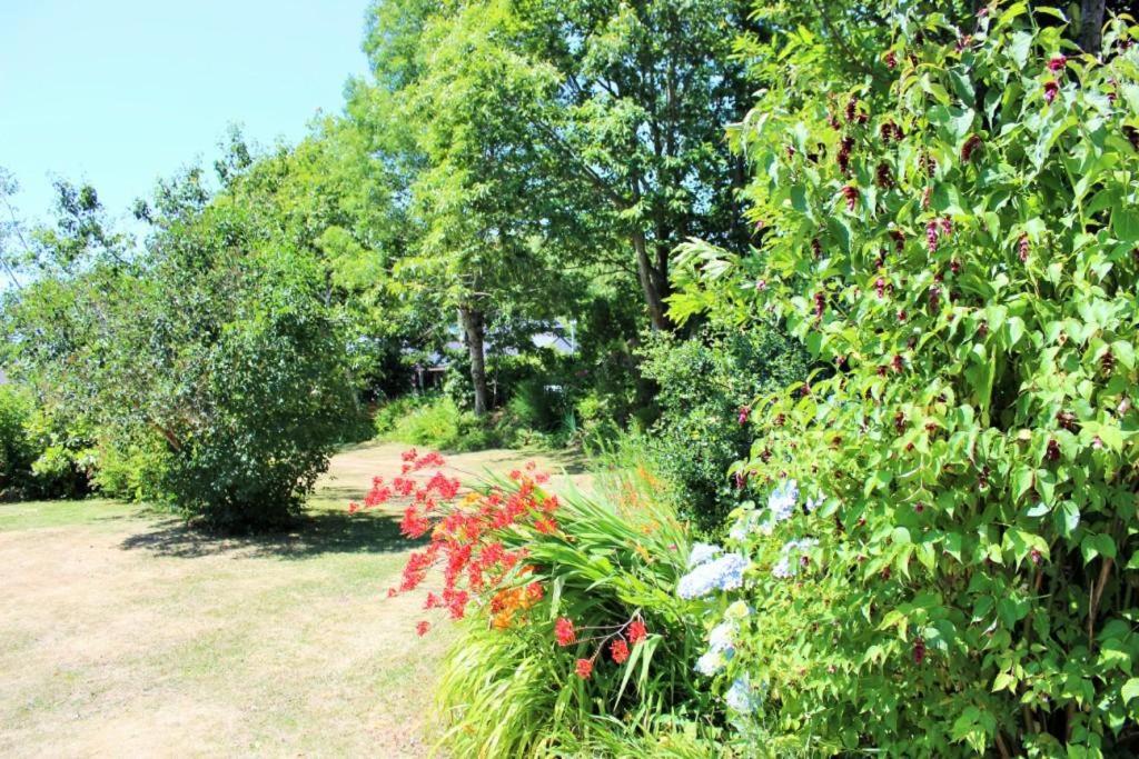 Sue's cottages photo 2