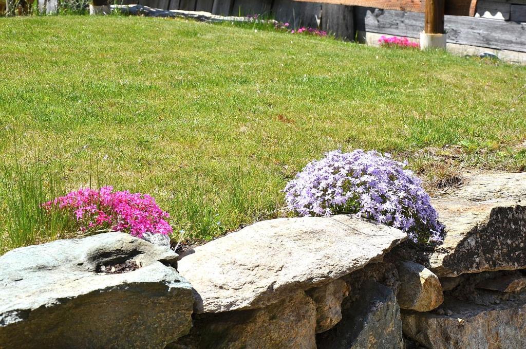 Holiday house with garden and enchanting view photo 4
