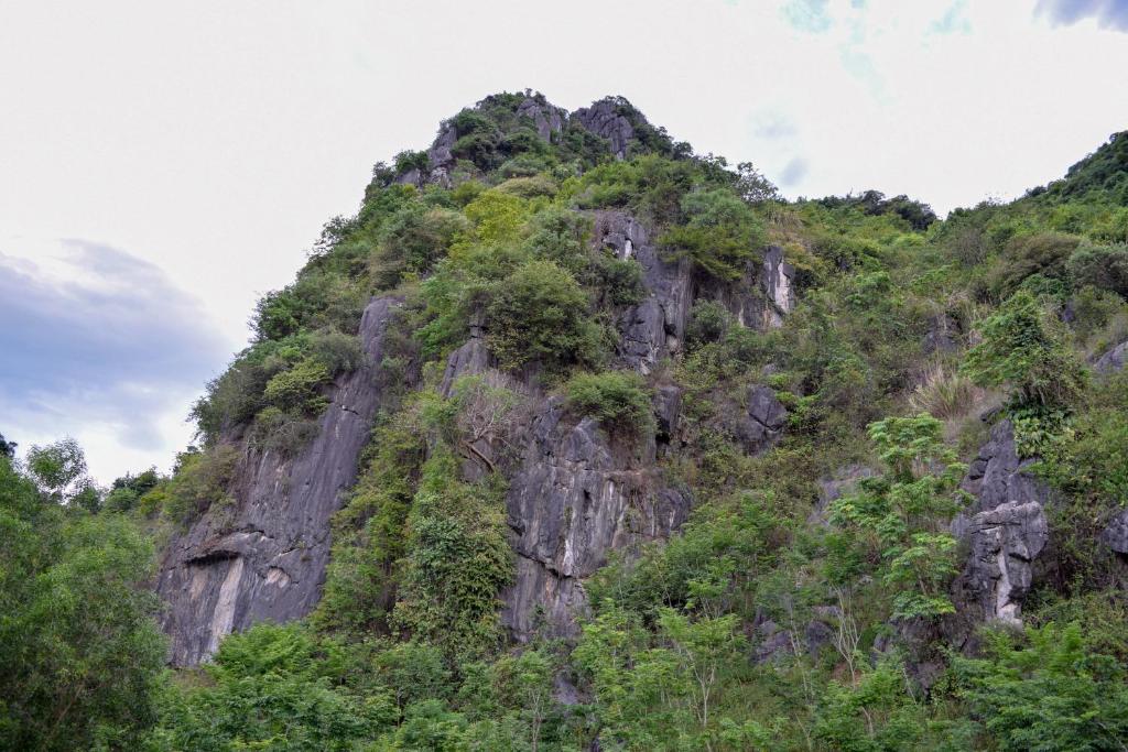 Phong Nha Orient Hotel