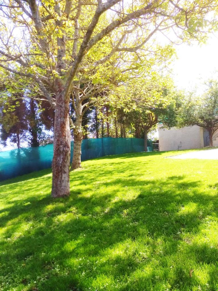Casa de Campo photo 2