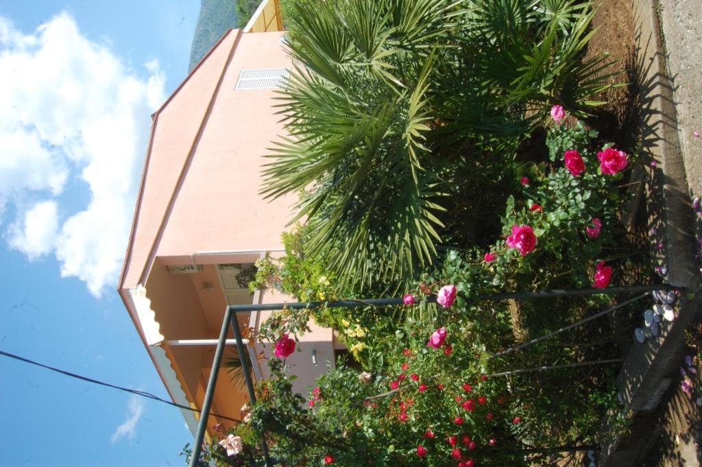 Vila Montenegro photo 1