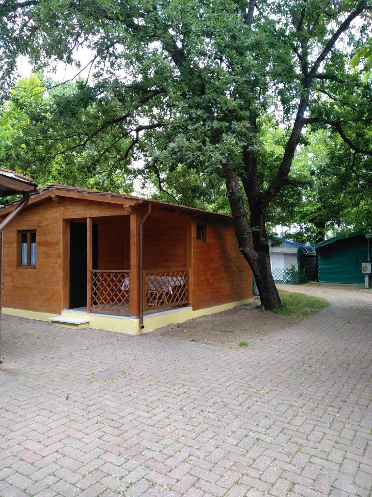 Camping Luni photo 2