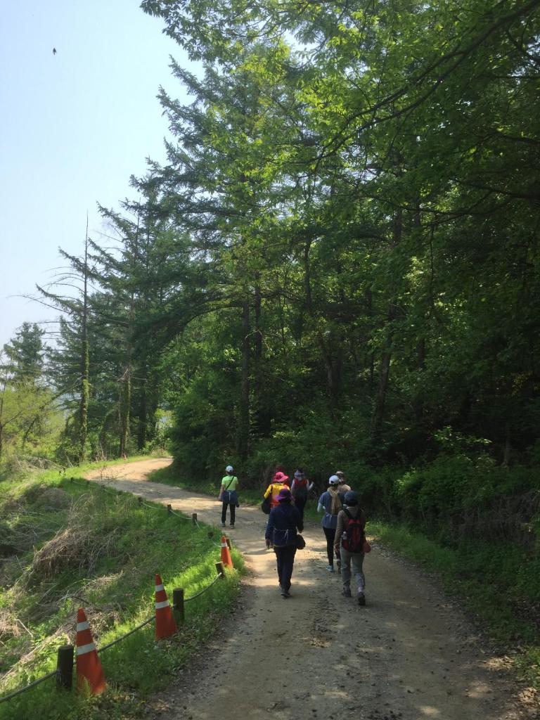 The Guesthouse DMZ Stay photo 4