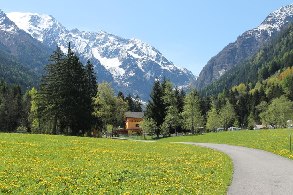 Chalet Presanella photo 3