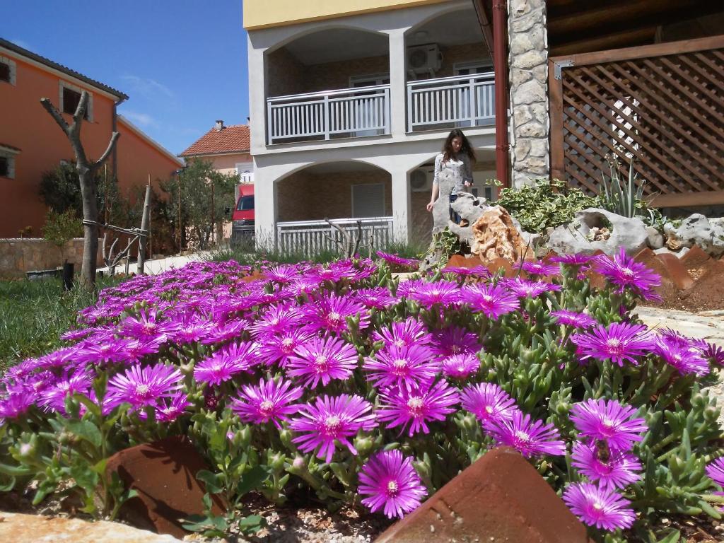 Apartmani Mala Sirena photo 3