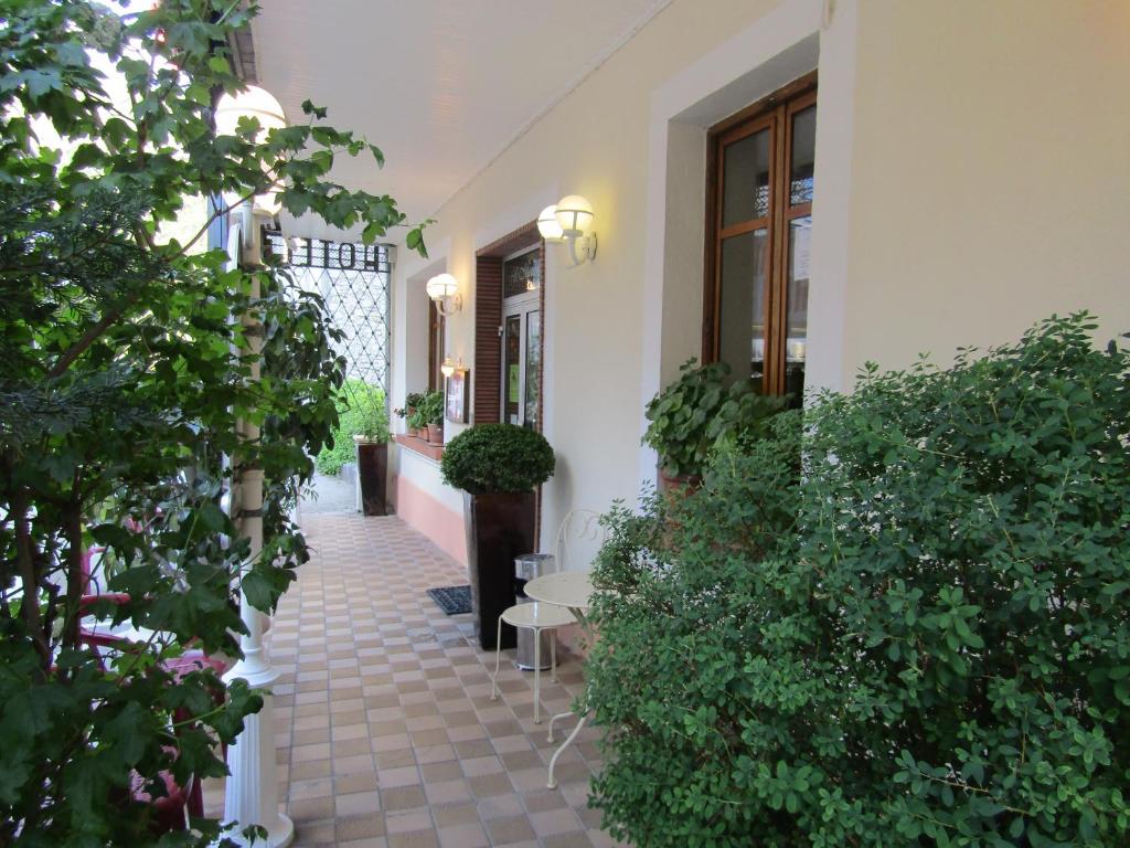Fifi Moulin photo 2