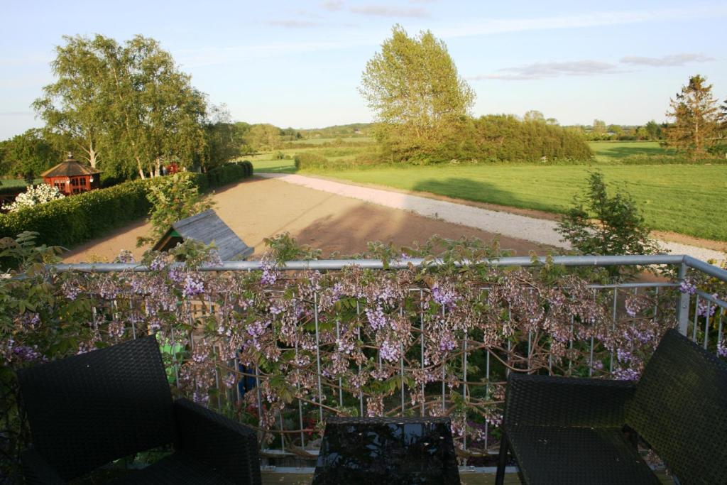 Guldbergs Guesthouse photo 4
