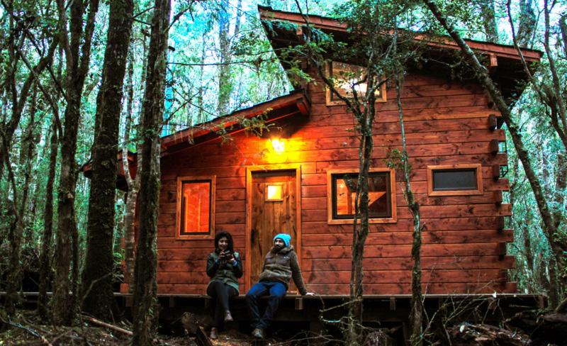 Cabañas Bosque Milenario photo 3