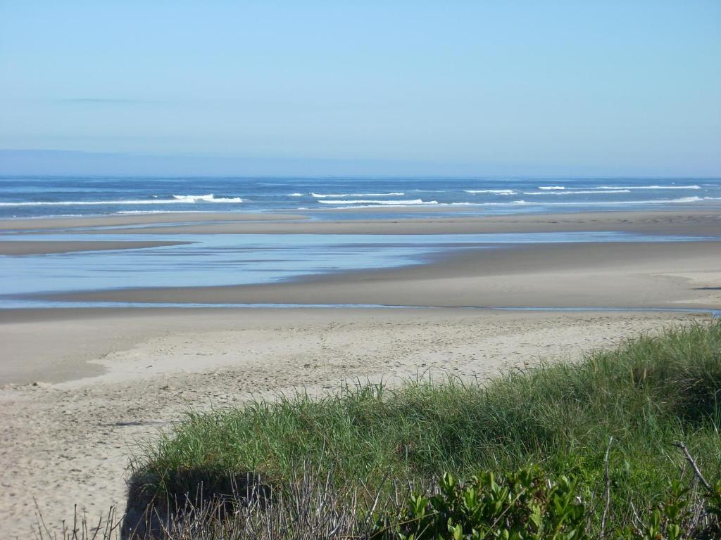 Silver Surf Motel image
