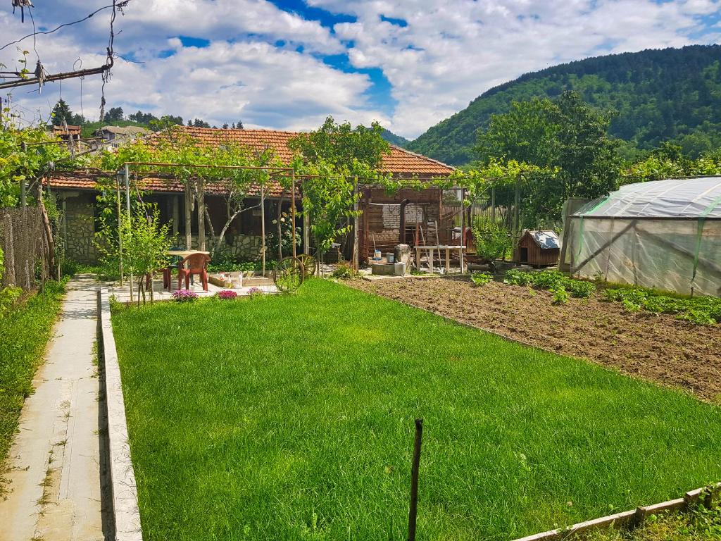 Delieva House photo 1