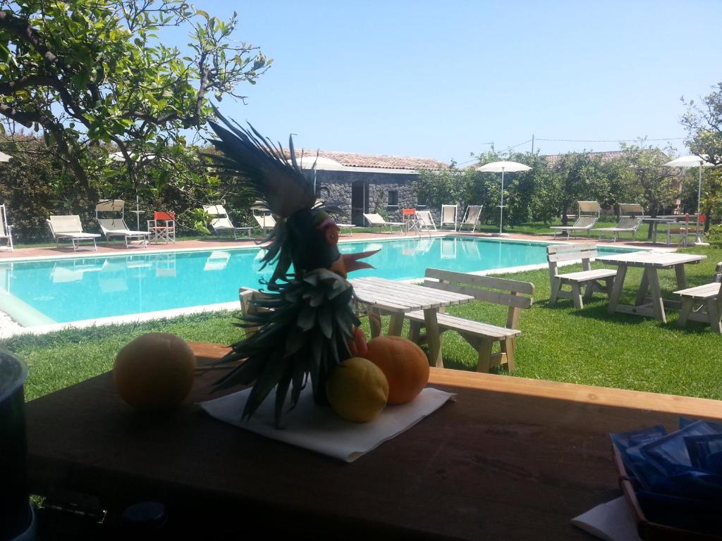 Galea Farm House photo 2
