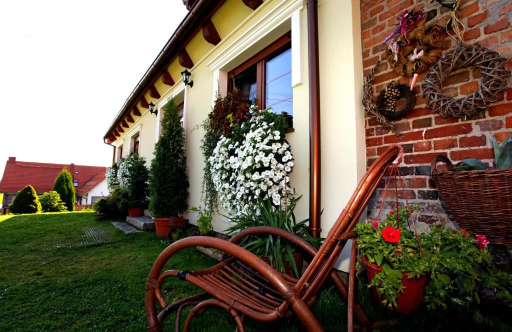 Komblówka photo 3