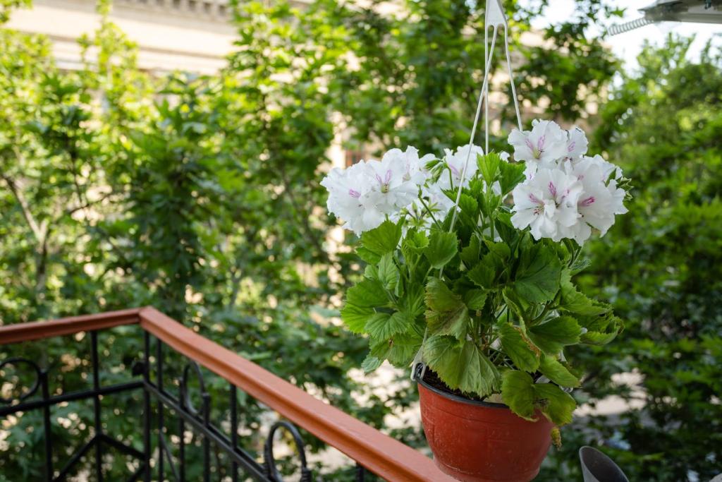Сьюит (Люкс с балконом), Отель Авеню