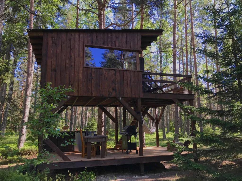 Tahkuna tree-house photo 2