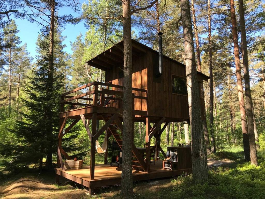 Tahkuna tree-house photo 3