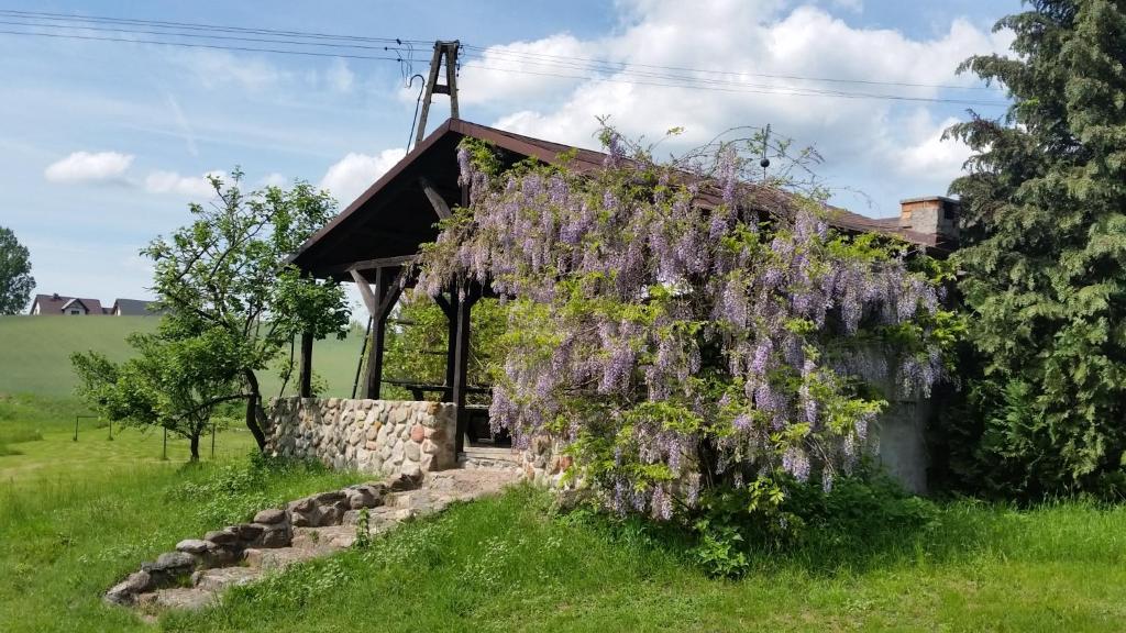 Agroturystyka Szafarnia 19 photo 1