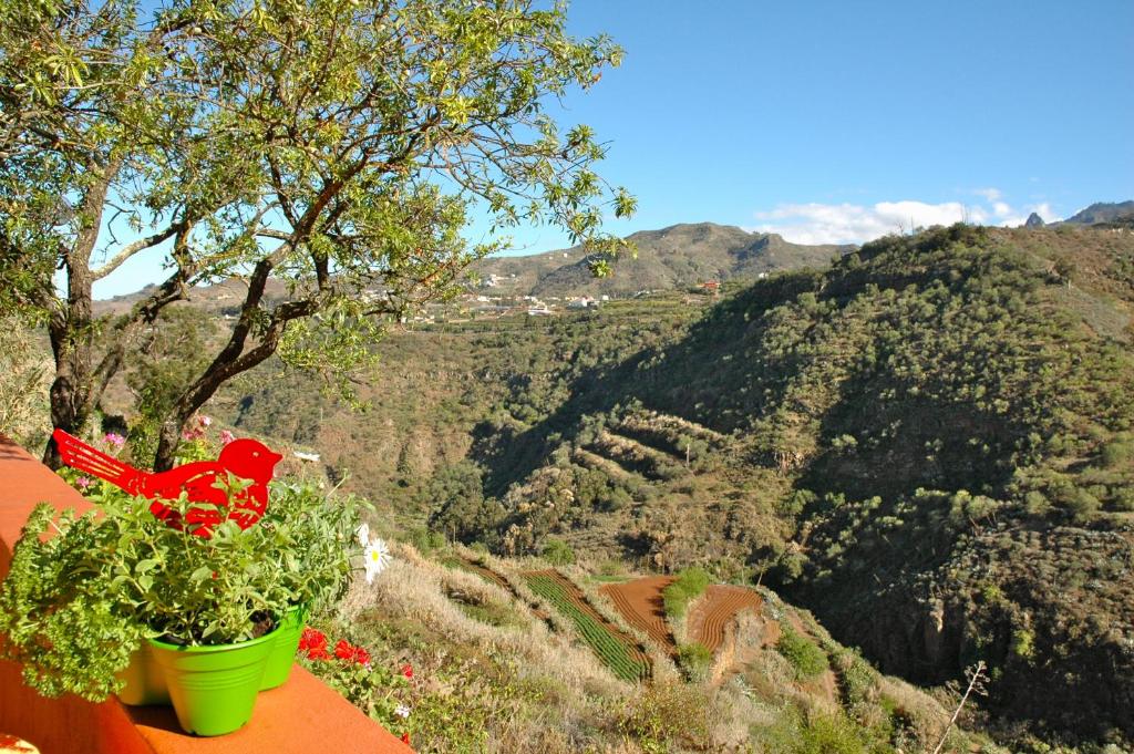 Tres Almendros by I N Z U L A E photo 3
