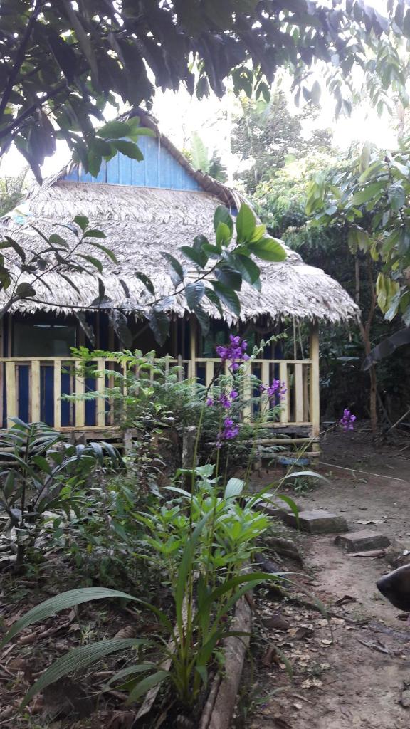 Omshanty Jungle Lodge photo 3