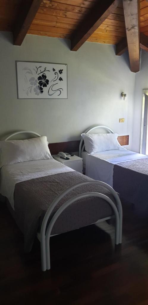 Hotel Sporting Room Type - Twin Room