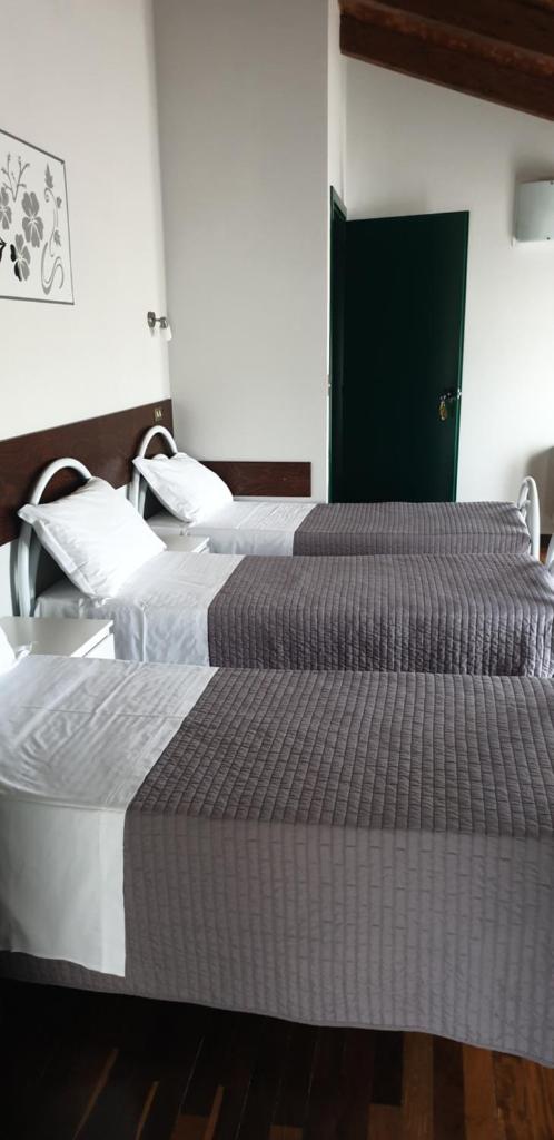 Hotel Sporting Room Type - Triple Room