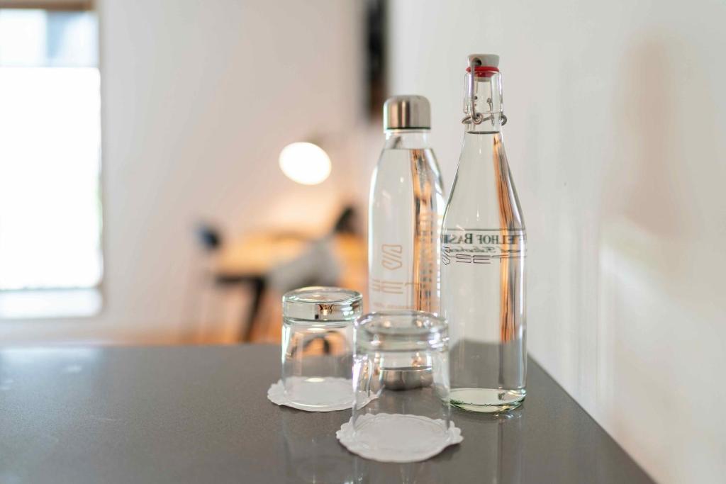 Двухместный (Двухместный номер с 1 кроватью - Мансарда), SET Hotel.Residence by Teufelhof Basel