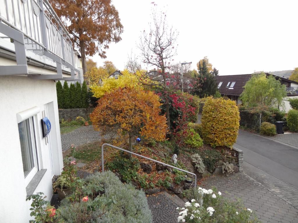 Ruhe - Oase am Eichwald photo 1