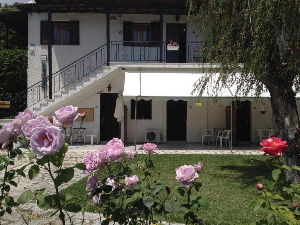 Dimitra Studios Nidri photo 4