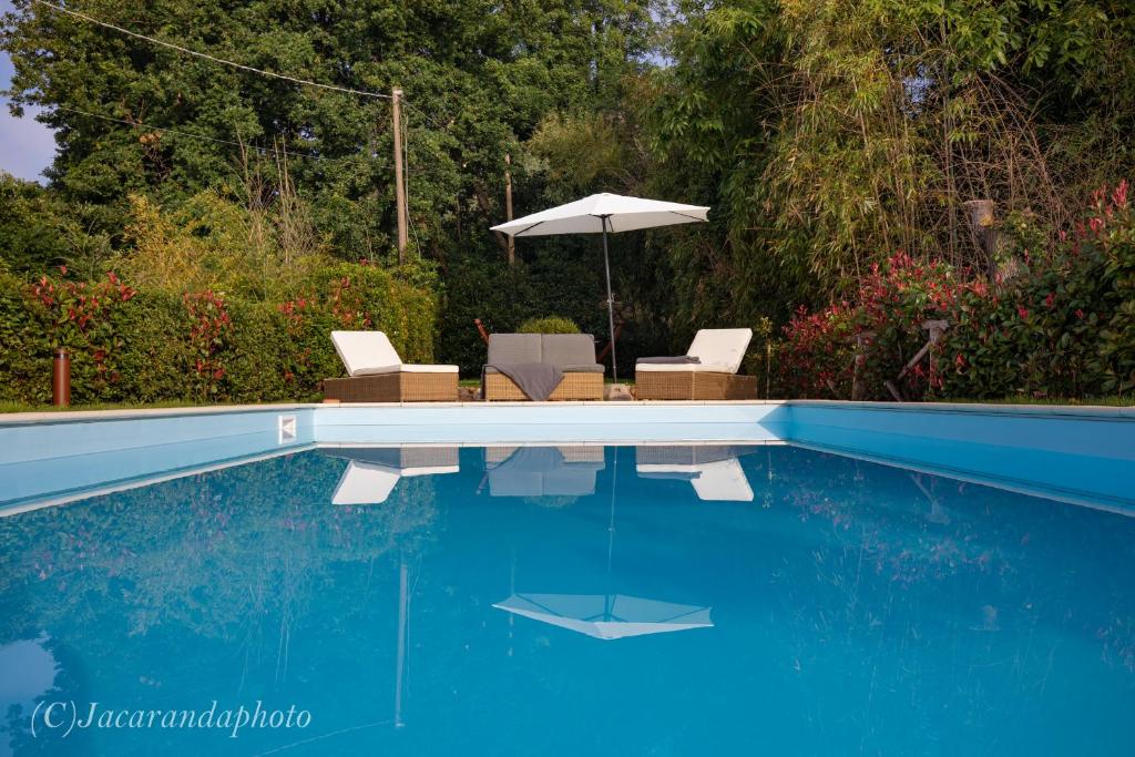 Villa Miramare Camaiore with pool photo 1