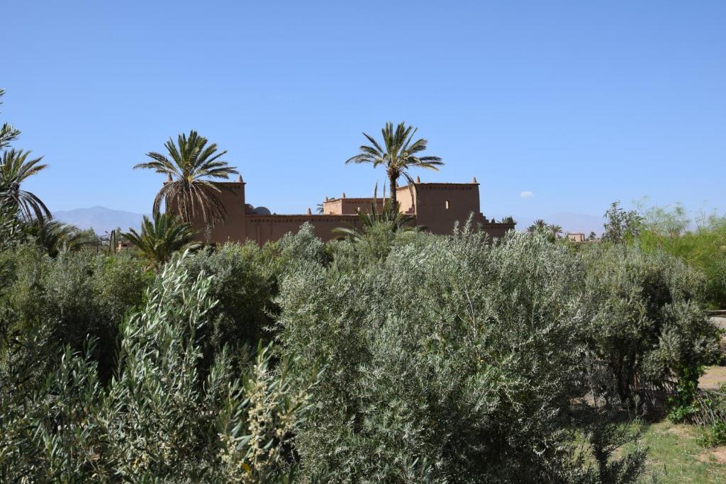 kasbah 123 soleil photo 3