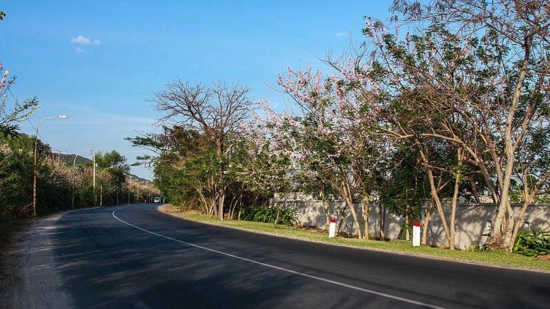Quoc An Guesthouse