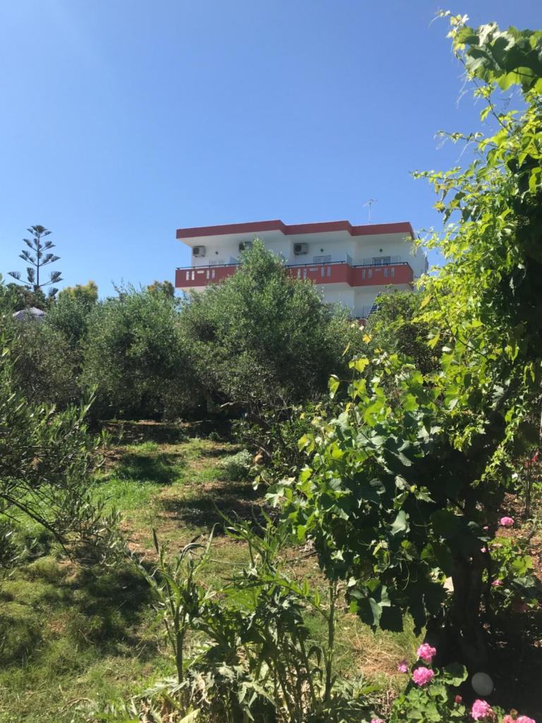 Knossos photo 2