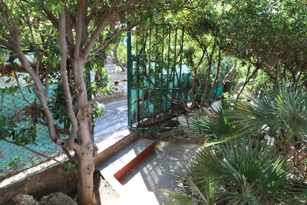 Casa Elvira photo 1