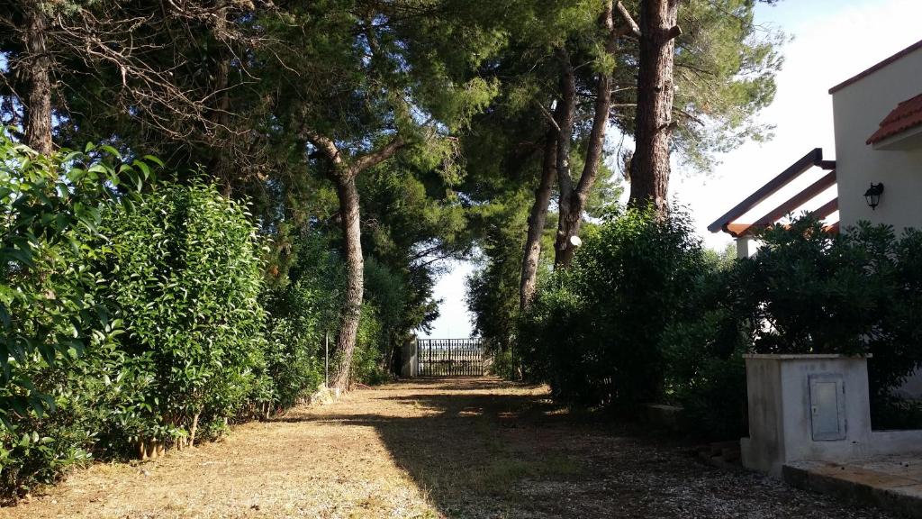 Villa del Sole photo 1