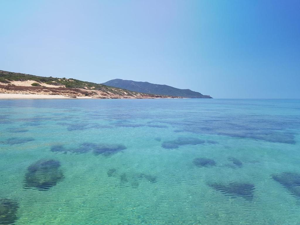 Naracauli photo 4