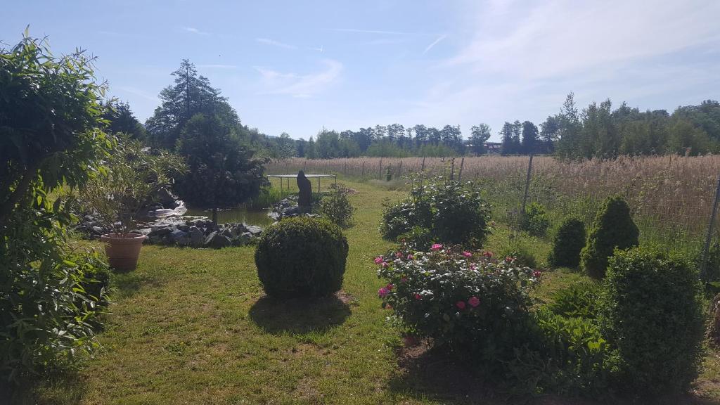 Ferienhaus am Teich photo 4