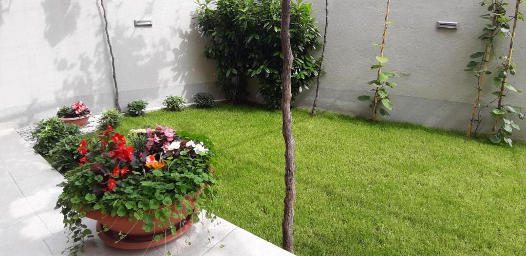 Apartment Sunce photo 3