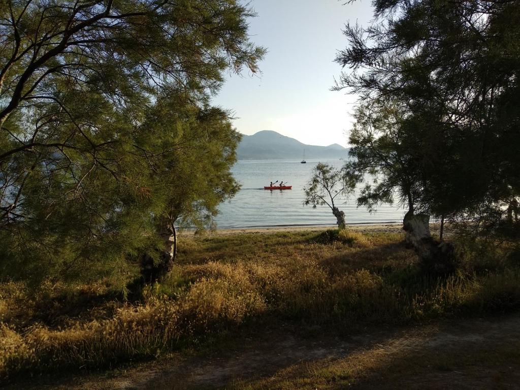 Nikos Sea View Apartments photo 2