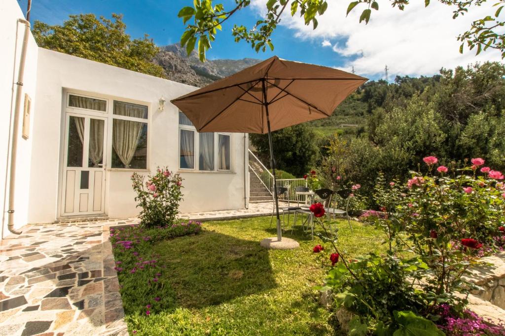 Vacation Home Petar photo 1